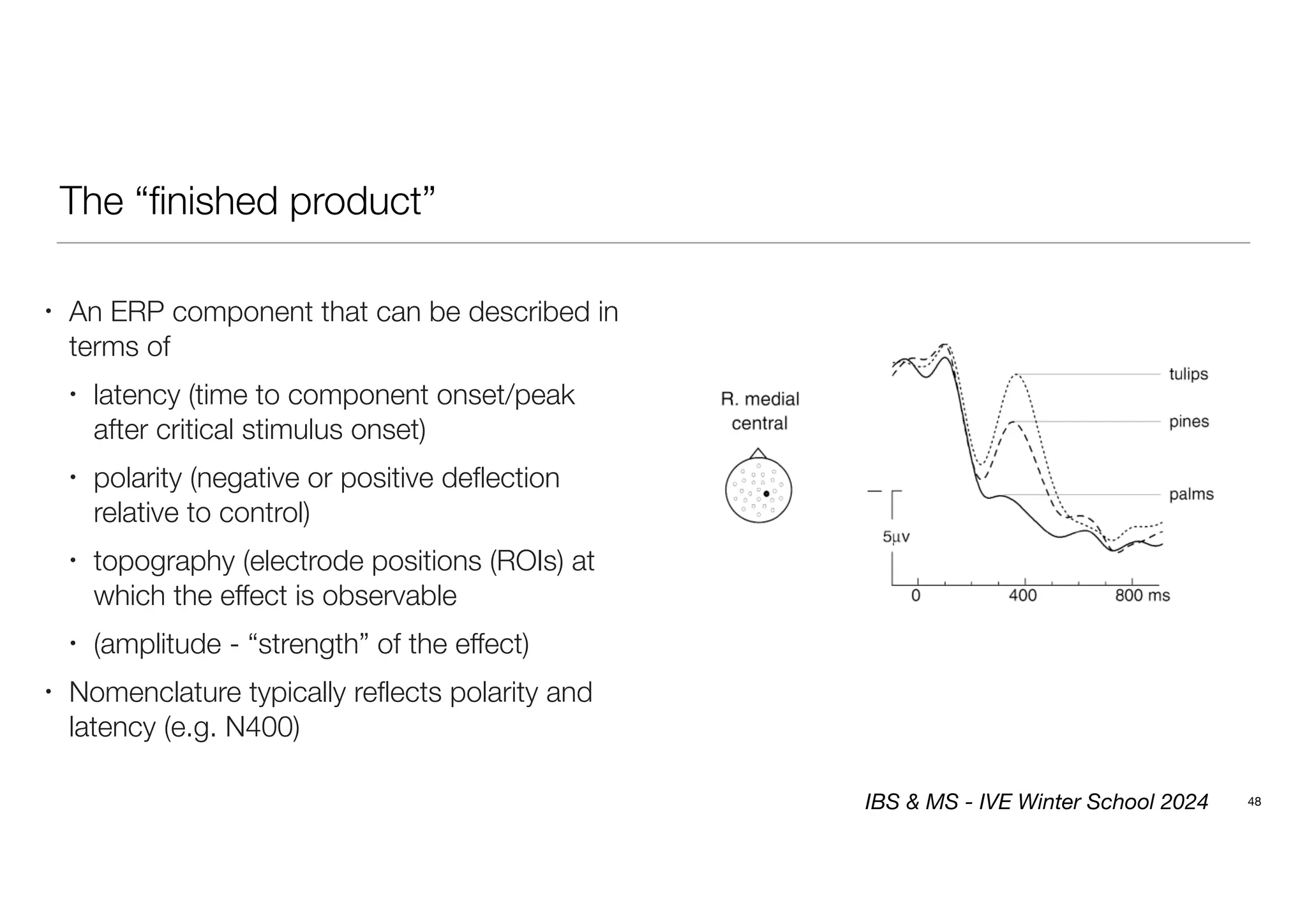 The “finished product”
48
• An ERP component that can be described in
terms of
• latency (time to component onset/peak
after critical stimulus onset)
• polarity (negative or positive deflection
relative to control)
• topography (electrode positions (ROIs) at
which the effect is observable
• (amplitude - “strength” of the effect)
• Nomenclature typically reflects polarity and
latency (e.g. N400)
IBS & MS - IVE Winter School 2024
 