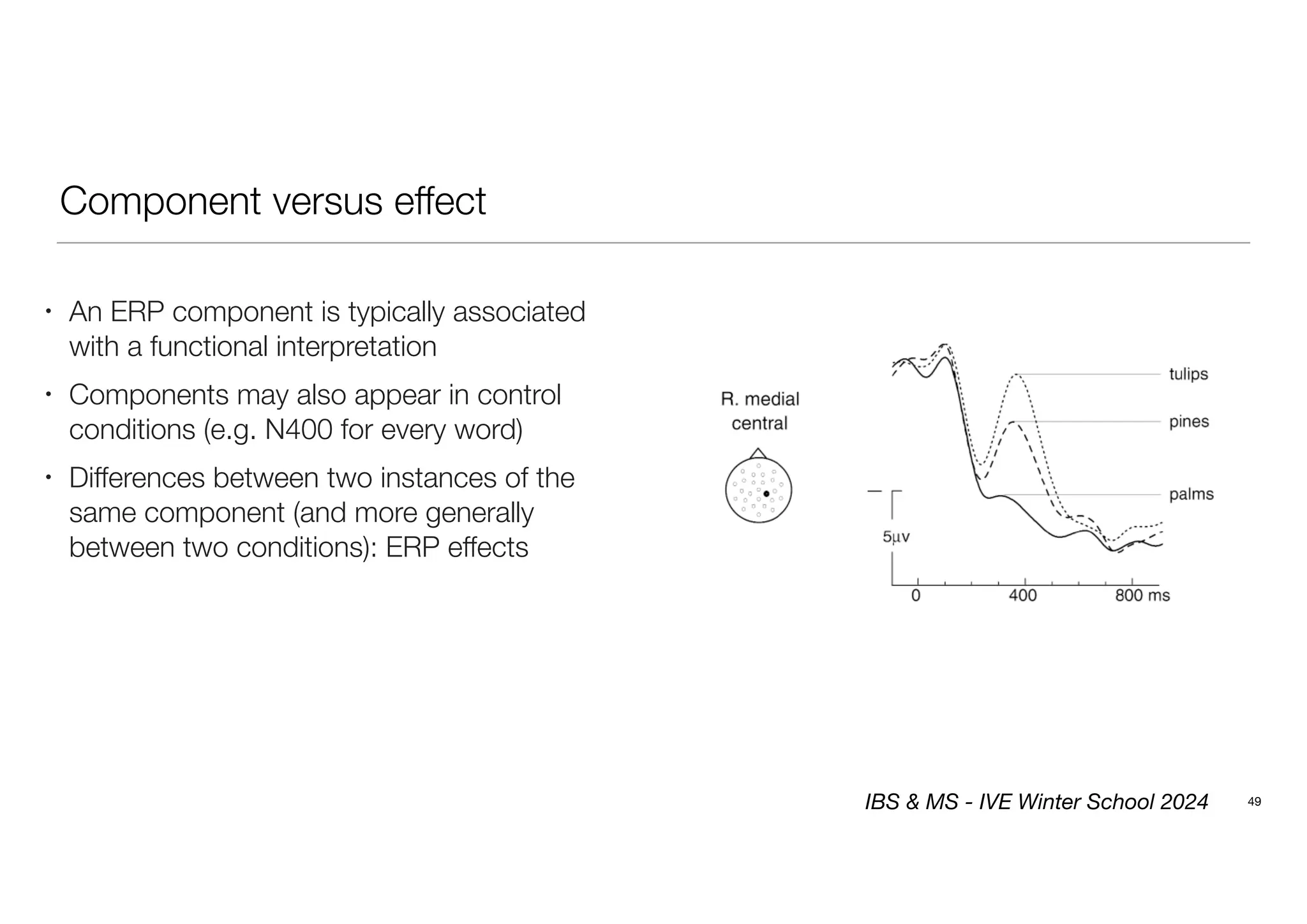 Component versus effect
49
• An ERP component is typically associated
with a functional interpretation
• Components may also appear in control
conditions (e.g. N400 for every word)
• Differences between two instances of the
same component (and more generally
between two conditions): ERP effects
IBS & MS - IVE Winter School 2024
 