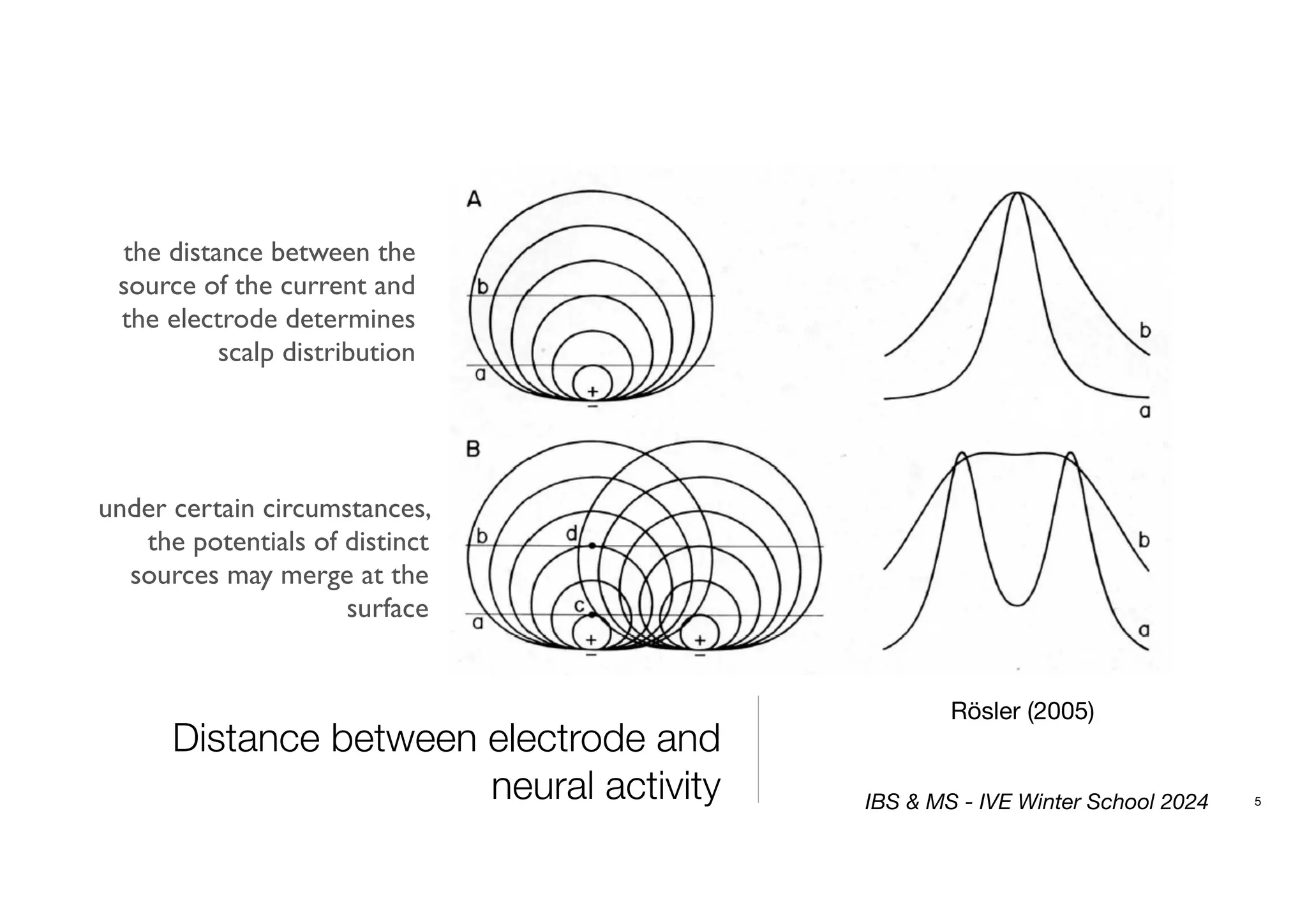 Distance between electrode and
neural activity 5
Rösler (2005)
the distance between the
source of the current and
the electrode determines
scalp distribution
under certain circumstances,
the potentials of distinct
sources may merge at the
surface
IBS & MS - IVE Winter School 2024
 