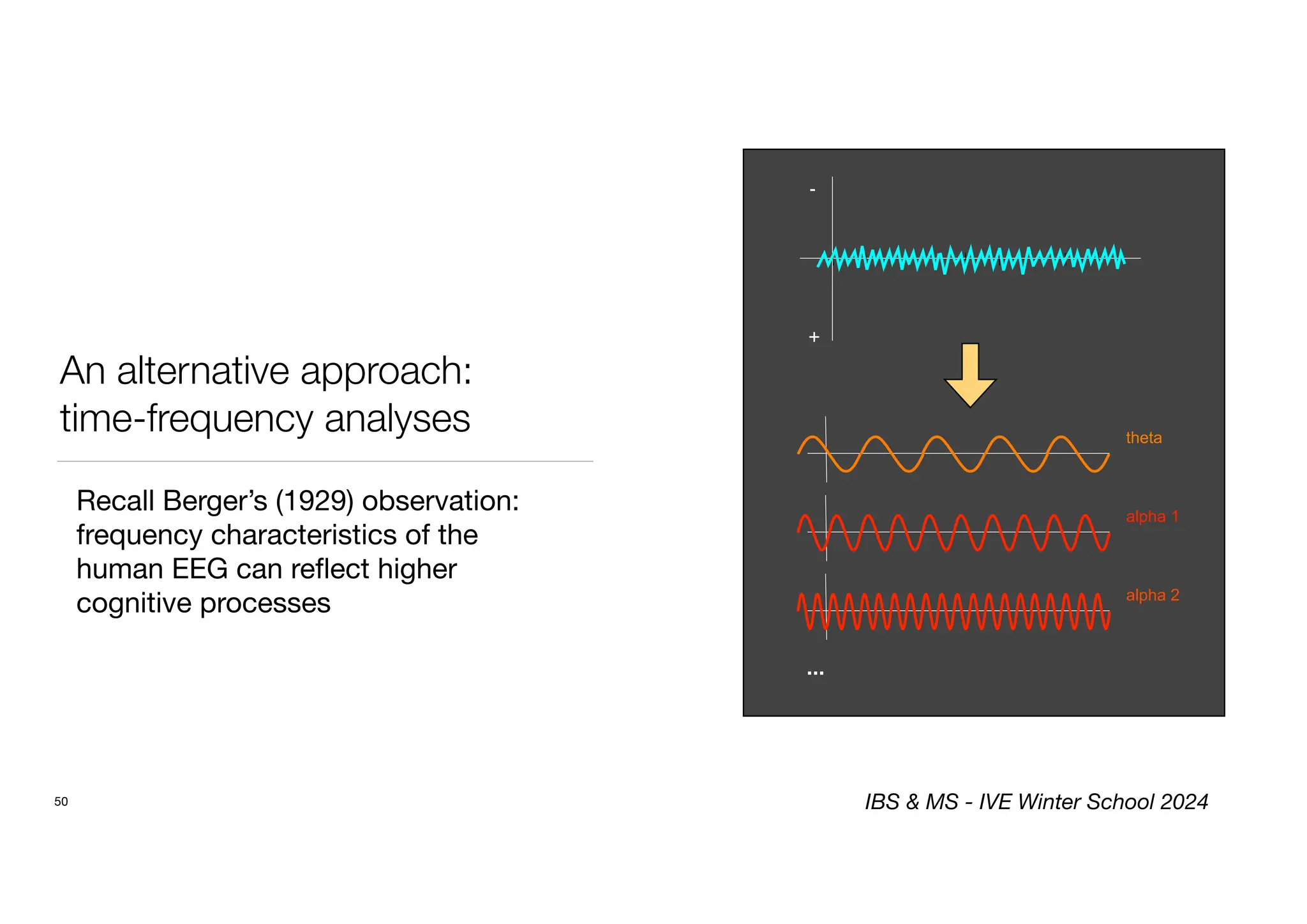 An alternative approach:
time-frequency analyses
Recall Berger’s (1929) observation:
frequency characteristics of the
human EEG can re
fl
ect higher
cognitive processes
50
-
+
theta
alpha 1
alpha 2
...
IBS & MS - IVE Winter School 2024
 