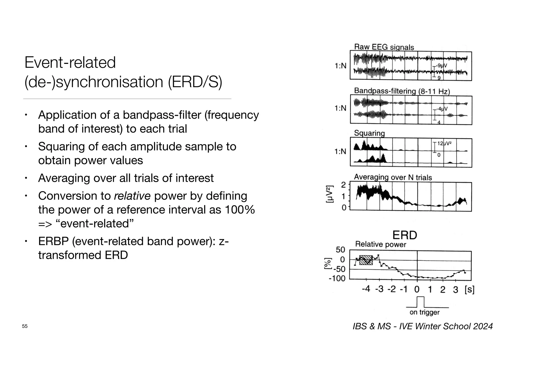 Event-related
(de-)synchronisation (ERD/S)
• Application of a bandpass-
fi
lter (frequency
band of interest) to each trial
• Squaring of each amplitude sample to
obtain power values
• Averaging over all trials of interest
• Conversion to relative power by de
fi
ning
the power of a reference interval as 100%
=> “event-related”
• ERBP (event-related band power): z-
transformed ERD
55 IBS & MS - IVE Winter School 2024
 