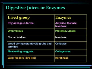 Lecture 8-Insect digestive system, modification, physiology of ...