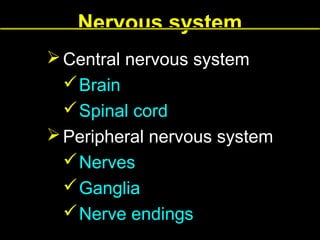Nervous system
 Central nervous system
 Brain
 Spinal cord
 Peripheral nervous system
 Nerves
 Ganglia
 Nerve endings

 