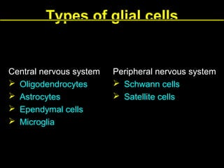 Types of glial cells

Central nervous system
 Oligodendrocytes
 Astrocytes
 Ependymal cells
 Microglia

Peripheral nervous system
 Schwann cells
 Satellite cells

 