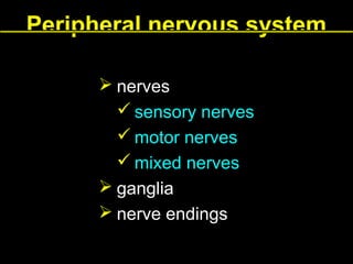 Peripheral nervous system
 nerves
 sensory nerves
 motor nerves
 mixed nerves
 ganglia
 nerve endings

 
