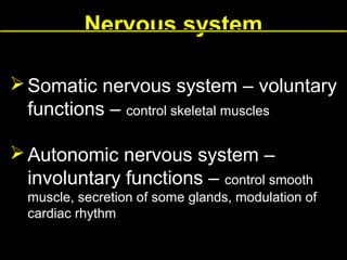 Nervous system
 Somatic nervous system – voluntary
functions – control skeletal muscles
 Autonomic nervous system –
involuntary functions – control smooth
muscle, secretion of some glands, modulation of
cardiac rhythm

 