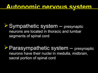 Autonomic nervous system
 Sympathetic system – presynaptic
neurons are located in thoracic and lumbar
segments of spinal cord

 Parasympathetic system – presynaptic
neurons have their nuclei in medulla, midbrain,
sacral portion of spinal cord

 