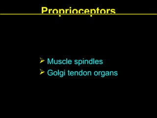 Proprioceptors

 Muscle spindles
 Golgi tendon organs

 