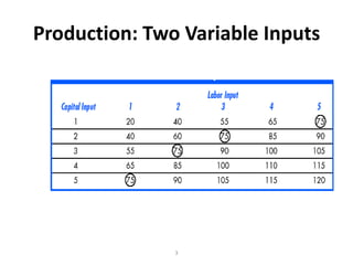 Production: Two Variable Inputs




               3
 