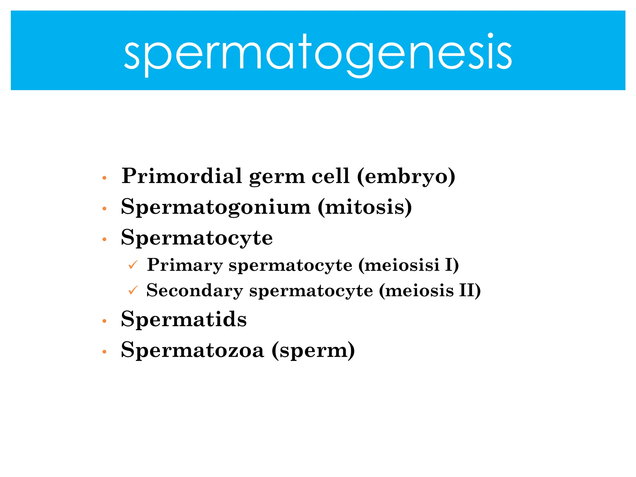 • Primordial germ cell (embryo)
• Spermatogonium (mitosis)
• Spermatocyte
✓ Primary spermatocyte (meiosisi I)
✓ Secondary spermatocyte (meiosis II)
• Spermatids
• Spermatozoa (sperm)
spermatogenesis
 