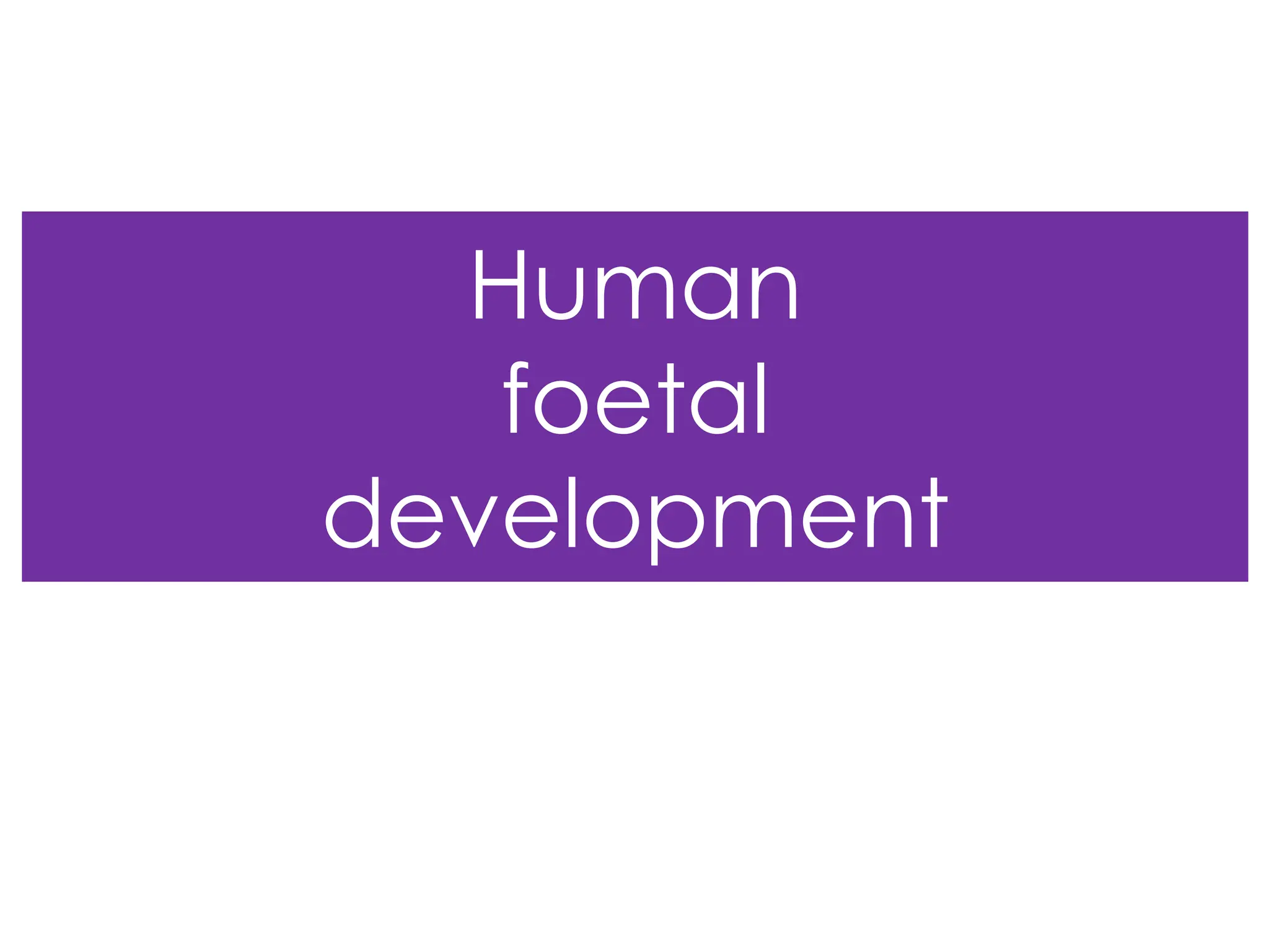 Human
foetal
development
 