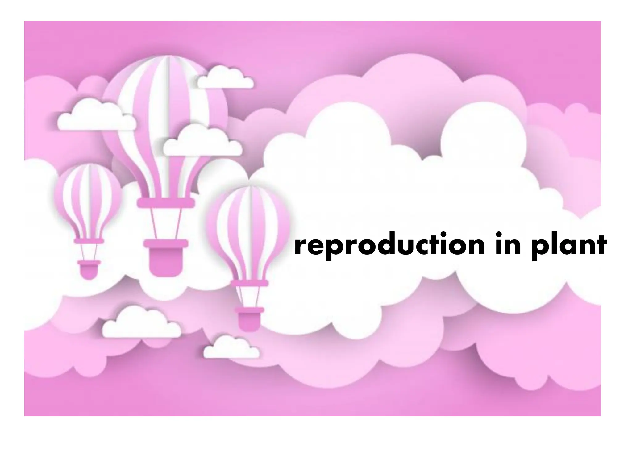 reproduction in plant
 