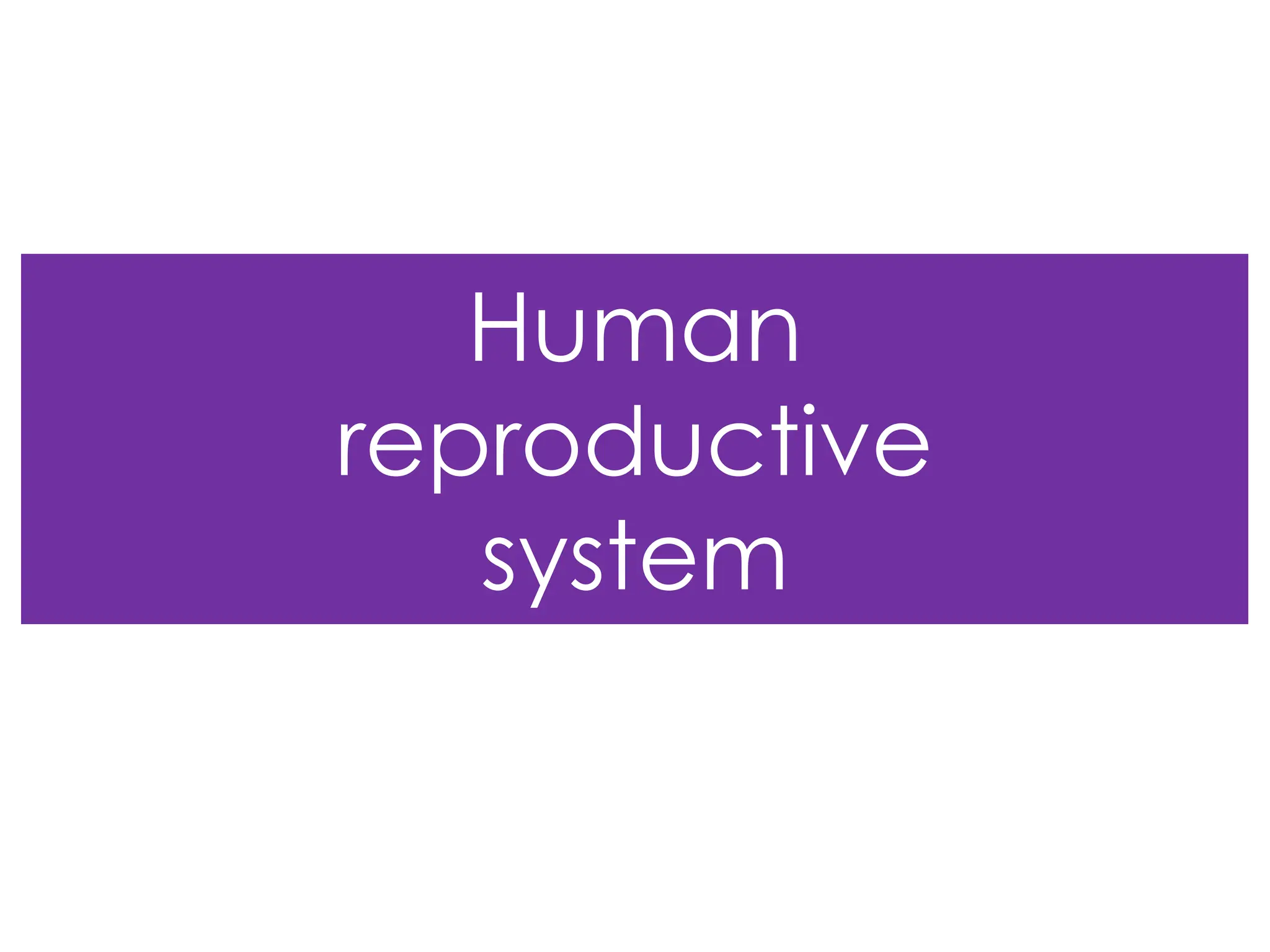 Human
reproductive
system
 