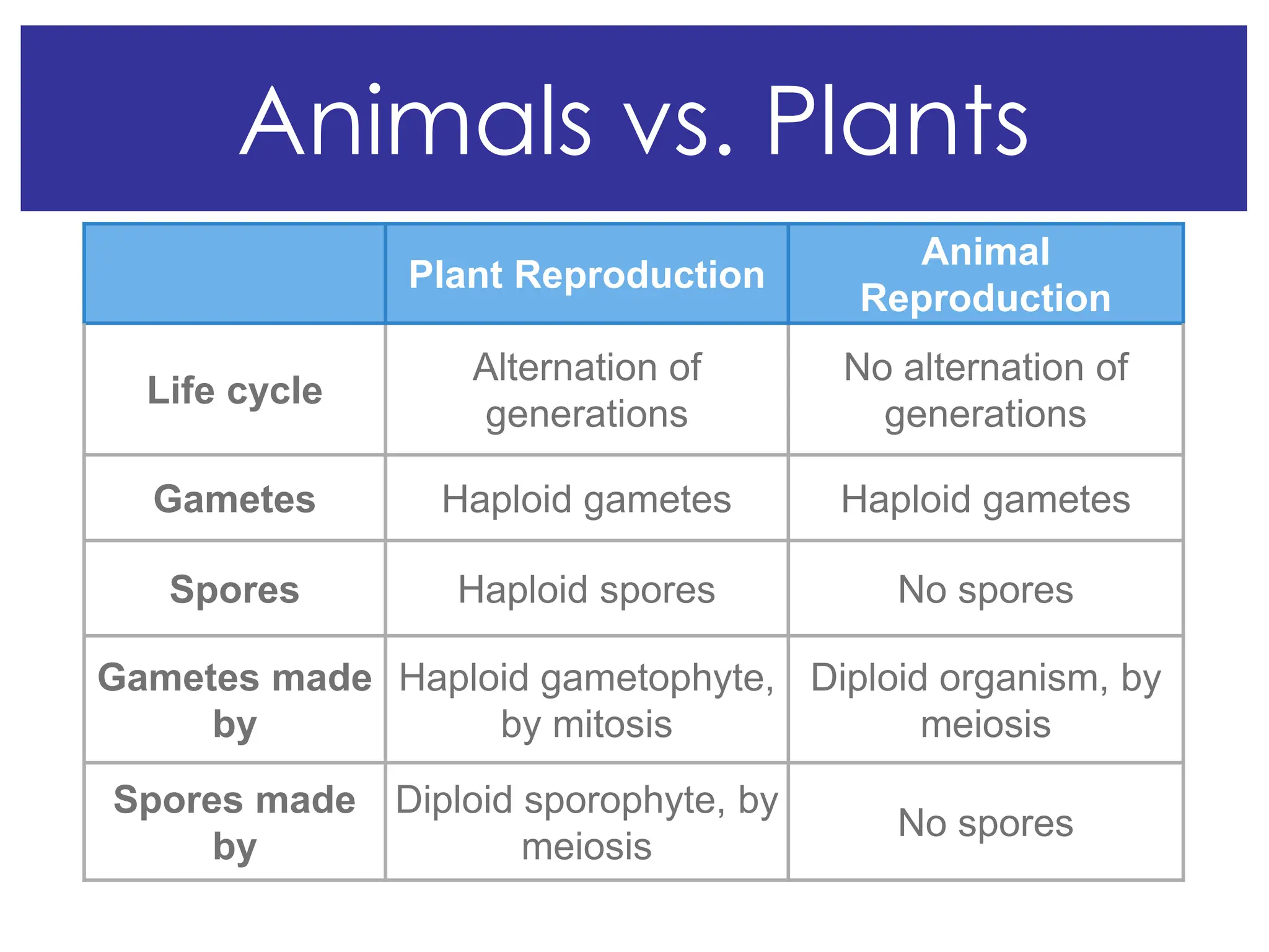 Animals vs. Plants
Plant Reproduction
Animal
Reproduction
Life cycle
Alternation of
generations
No alternation of
generations
Gametes Haploid gametes Haploid gametes
Spores Haploid spores No spores
Gametes made
by
Haploid gametophyte,
by mitosis
Diploid organism, by
meiosis
Spores made
by
Diploid sporophyte, by
meiosis
No spores
 