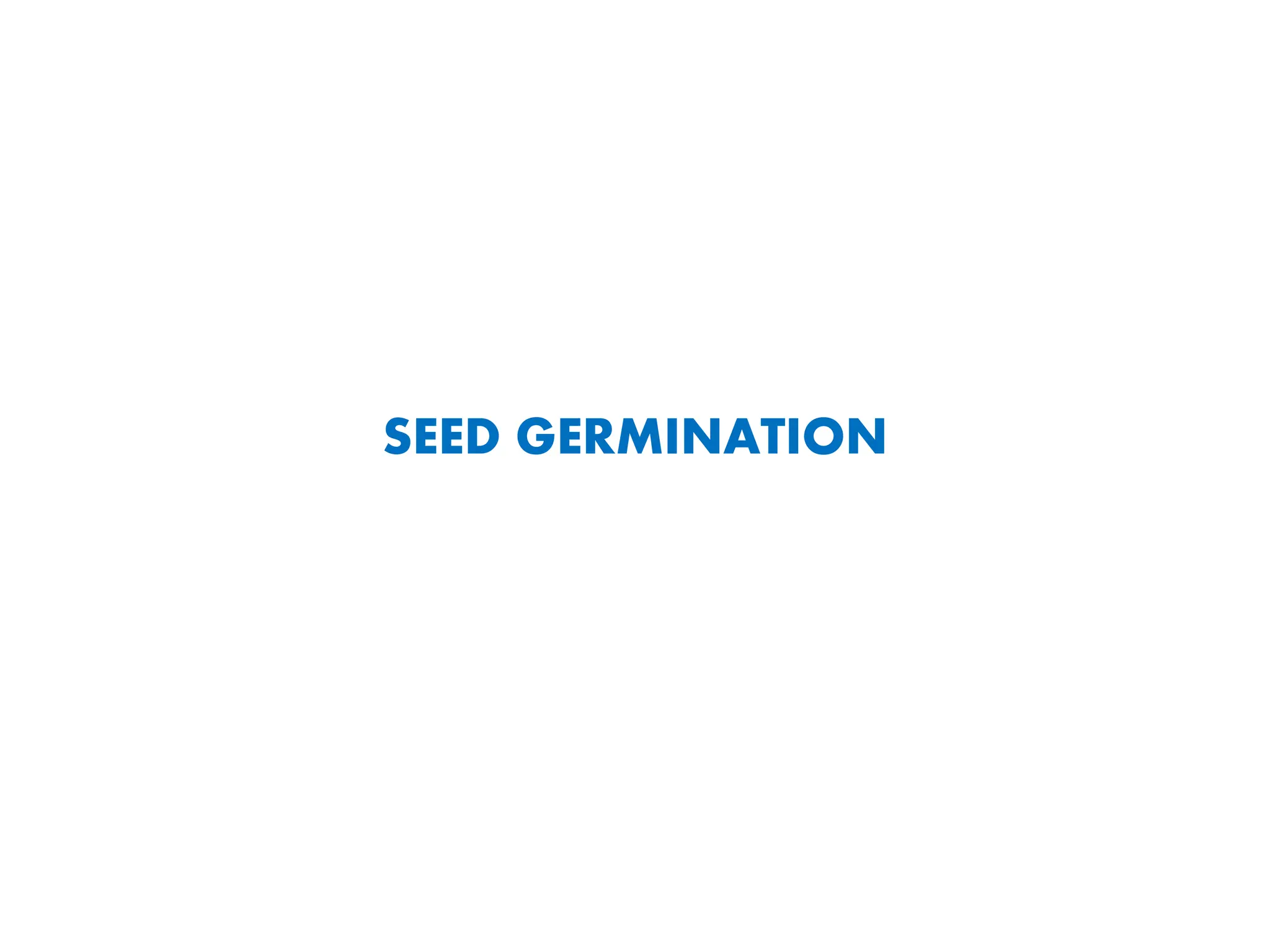 SEED GERMINATION
 