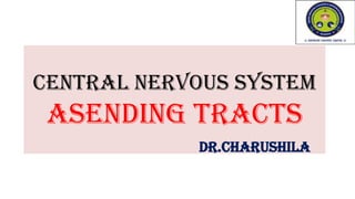 Ascending tracts- Central Nervous System