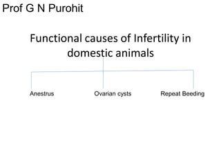 Functional causes of Infertility in
domestic animals
Ovarian cysts
Prof G N Purohit
Repeat BeedingAnestrus
 