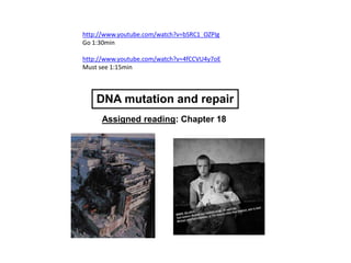 DNA mutation and repair
Assigned reading: Chapter 18
http://www.youtube.com/watch?v=bSRC1_OZPIg
Go 1:30min
http://www.youtube.com/watch?v=4fCCVU4y7oE
Must see 1:15min
 