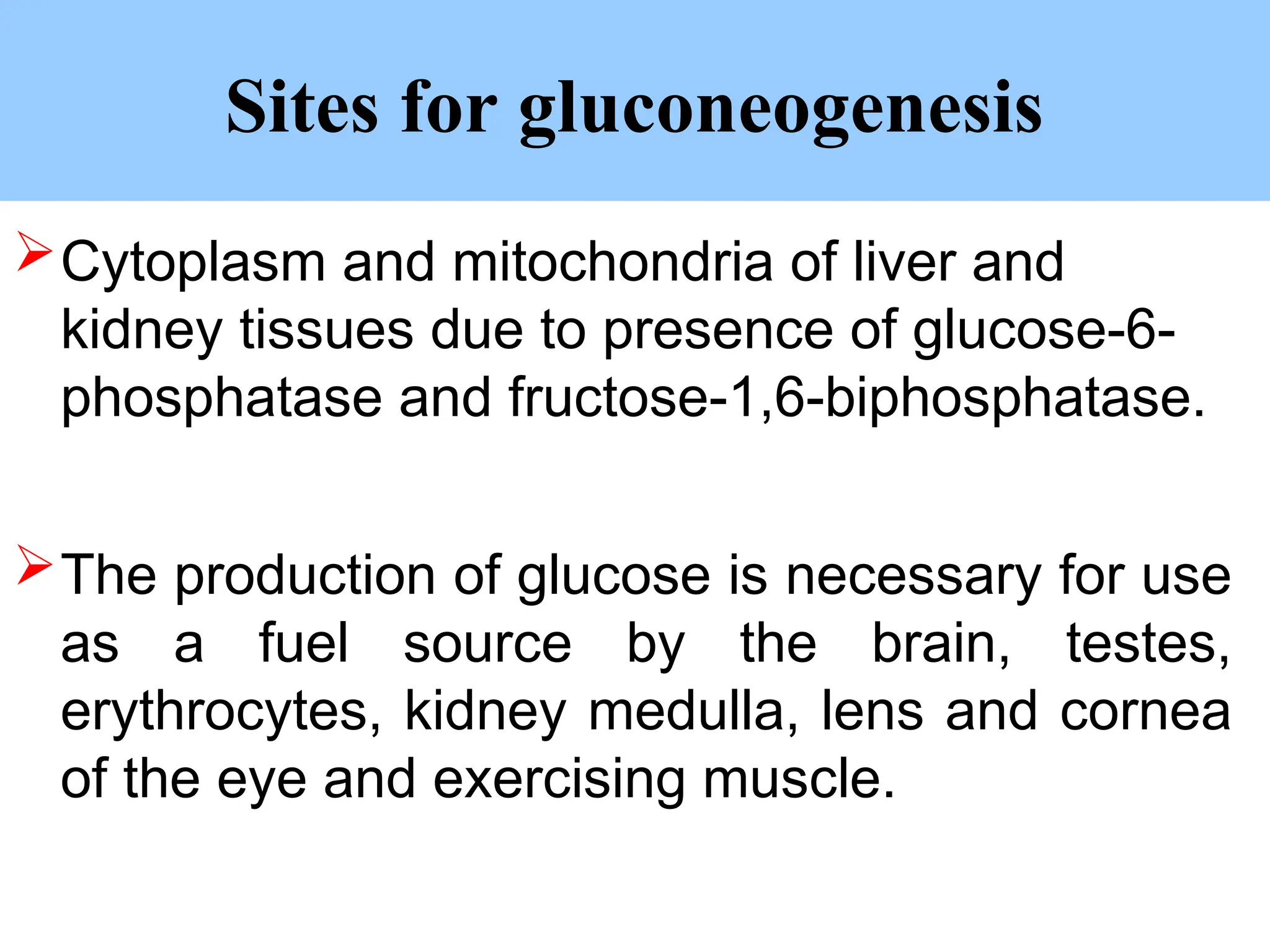 Lecture 8 Carbohydrates Biochemistry Ppt