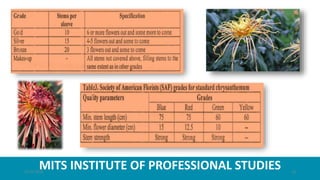 MITS INSTITUTE OF PROFESSIONAL STUDIES21-07-2020 14
 