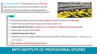MITS INSTITUTE OF PROFESSIONAL STUDIES
Growing environment: Chrysanthemum being a short-day
plant can be grown as off season more profitably in the both
climatically controlled and naturally ventilated greenhouses.
Light:
 Chrysanthemum requires long days for good vegetative growth and short days for flowering
 Length between 13 and 7 hours as long and, short days, respectively
 Artificial lighting (Long Days): Fluorescent or incandescent or high-pressure mercury lamps
 Artificial light required is about 150Lux
 Artificial Shading (Short Days):
 Treatment consisted of complete shading of potted plants or beds for 14h continuous hours i.e. from 5 p.m. to 7
a.m. every day
 Black alkathene sheet with 150 gauge thickness
21-07-2020 6
 