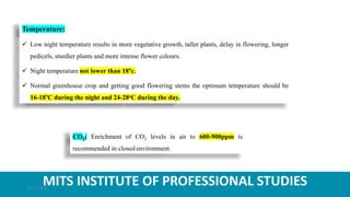 MITS INSTITUTE OF PROFESSIONAL STUDIES
Temperature:
 Low night temperature results in more vegetative growth, taller plants, delay in flowering, longer
pedicels, sturdier plants and more intense flower colours.
 Night temperature not lower than 18°c.
 Normal greenhouse crop and getting good flowering stems the optimum temperature should be
16-18°C during the night and 24-28oC during the day.
CO2: Enrichment of CO2 levels in air to 600-900ppm is
recommended in closed environment.
21-07-2020 7
 