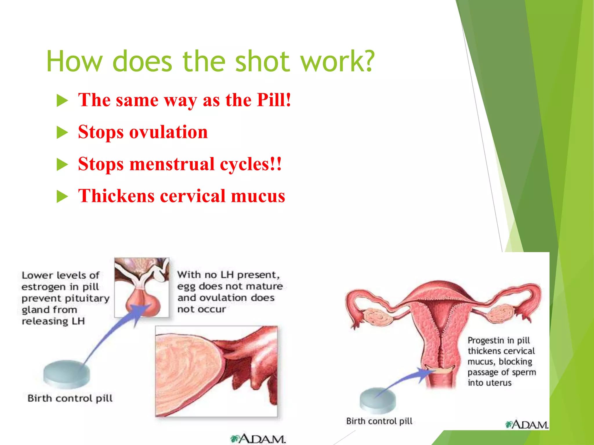 How does the shot work?
 The same way as the Pill!
 Stops ovulation
 Stops menstrual cycles!!
 Thickens cervical mucus
 