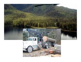 Lecture 8 ecosystem development