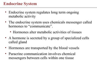Endocrine System
• Endocrine system regulates long term ongoing
metabolic activity
• The endocrine system uses chemicals messenger called
hormones to “communicate”.
• Hormones alter metabolic activities of tissues
• A hormone is secreted by a group of specialized cells
called gland
• Hormones are transported by the blood vessels
• Paracrine communication involves chemical
messengers between cells within one tissue
 