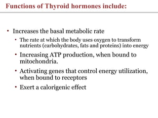 Functions of Thyroid hormones include:
• Increases the basal metabolic rate
• The rate at which the body uses oxygen to transform
nutrients (carbohydrates, fats and proteins) into energy
• Increasing ATP production, when bound to
mitochondria.
• Activating genes that control energy utilization,
when bound to receptors
• Exert a calorigenic effect
 