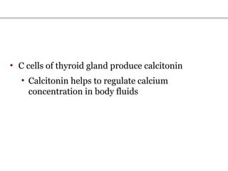 • C cells of thyroid gland produce calcitonin
• Calcitonin helps to regulate calcium
concentration in body fluids
 