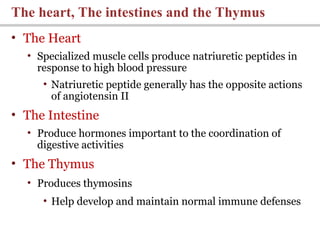 • The Heart
• Specialized muscle cells produce natriuretic peptides in
response to high blood pressure
• Natriuretic peptide generally has the opposite actions
of angiotensin II
• The Intestine
• Produce hormones important to the coordination of
digestive activities
• The Thymus
• Produces thymosins
• Help develop and maintain normal immune defenses
The heart, The intestines and the Thymus
 