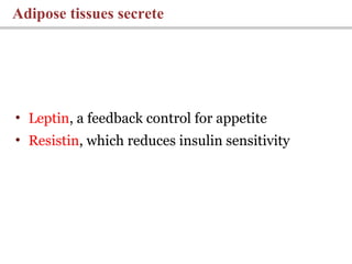 • Leptin, a feedback control for appetite
• Resistin, which reduces insulin sensitivity
Adipose tissues secrete
 