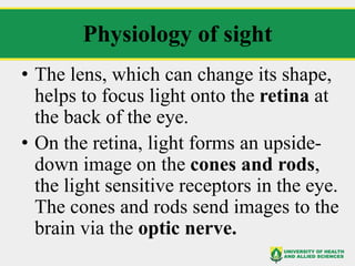 LECTURE 8 Eye Assessment.pdf Assessing the eye | PDF