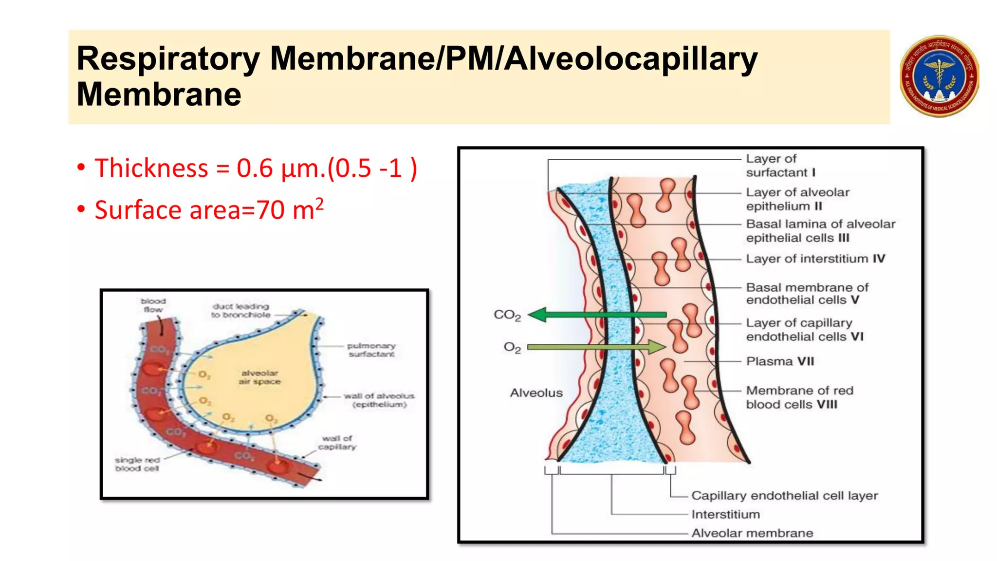 lecture 8/2023 - Respiratory Physiology -gas laws, Respiratory membrane.pdf