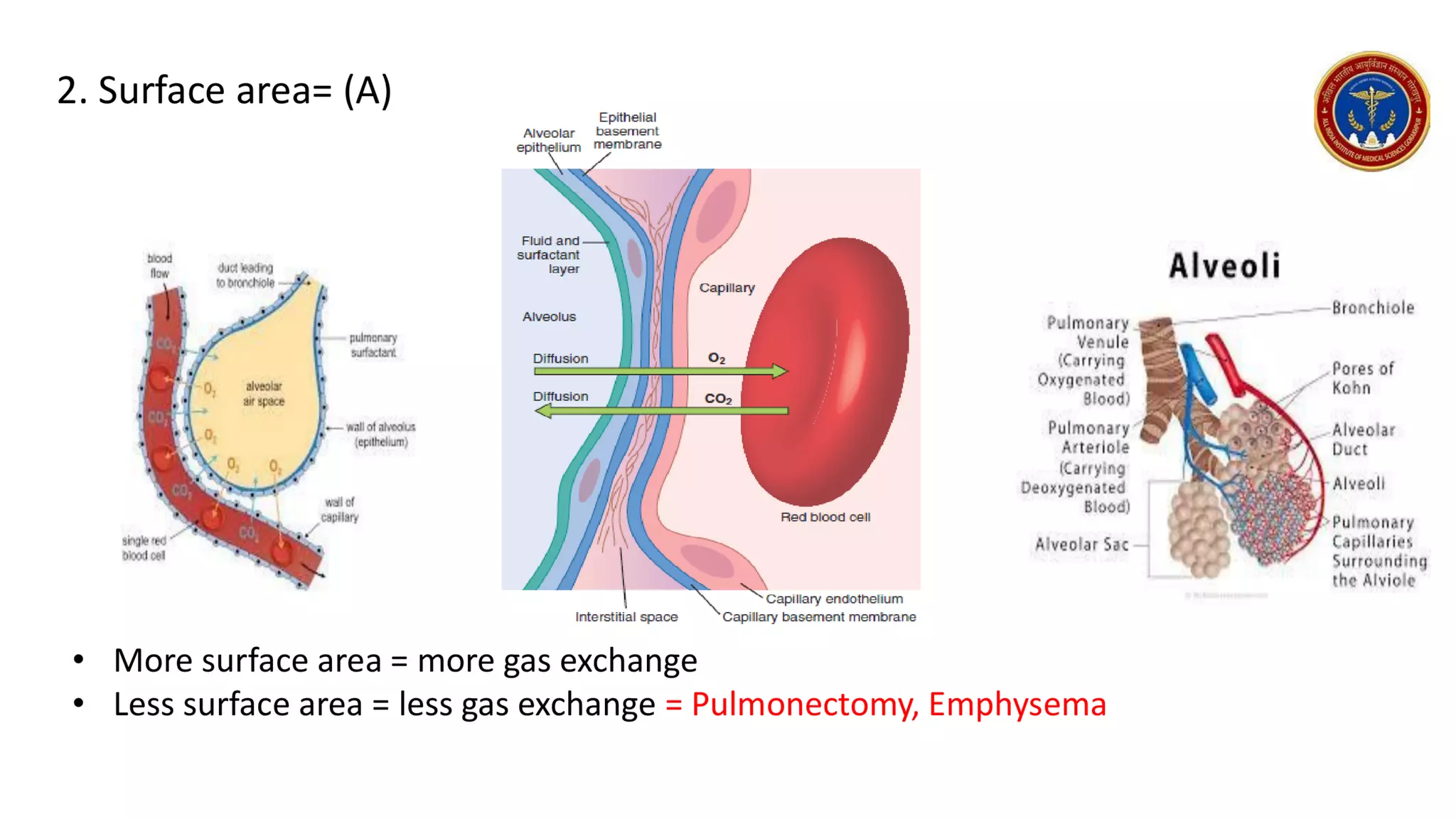 lecture 8/2023 - Respiratory Physiology -gas laws, Respiratory membrane.pdf