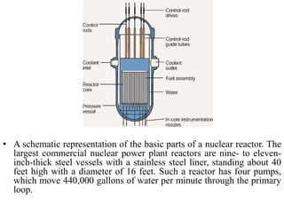 • A schematic representation of the basic parts of a nuclear reactor. The
largest commercial nuclear power plant reactors are nine- to eleven-
inch-thick steel vessels with a stainless steel liner, standing about 40
feet high with a diameter of 16 feet. Such a reactor has four pumps,
which move 440,000 gallons of water per minute through the primary
loop.
 