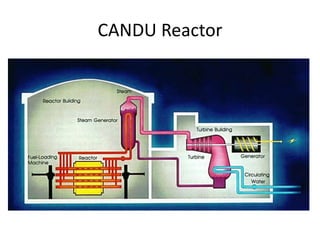 CANDU Reactor
 