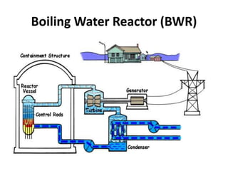 Boiling Water Reactor (BWR)
 