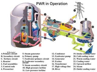 PWR in Operation
A Primary circuit
B. Secondary circuit
C. Tertiary circuit
1. Reactor
2. Fuel assemblies
3. Control rods
4. Pressurizer
5. Steam generator
6. Primary pump
7. Feedwater primary circuit
8. Feedwater secondary
circuit
9. Steam secondary circuit
10. High pressure turbine
11. Low pressure turbine
12. Condenser
13. Feedwater pump
14. Generator
15. Exciter
16. Transformer
17. High voltage line
18. River
19. Intake cooling water
20. Cold cooling water
21. Warm cooling water
22. Cooling water
23. Upward airflow
24. Steam
25. Outlet cooling water
 