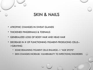 SKIN & NAILS
• ATROPHIC CHANGES IN SWEAT GLANDS
• THICKENED FINGERNAILS & TOENAILS
• GENERALIZED LOSS OF BODY HAIR AND HEAD HAIR
• DECREASE IN # OF FUNCTIONING PIGMENT-PRODUCING CELLS--
>GRAYING
• SOME REMAINING PIGMENT CELLS ENLARGE--> “AGE SPOTS”
• SKIN CHANGES INCREASE. VULNERABILITY TO INFECTIONS/DISORDERS
 