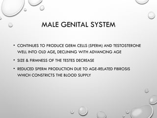 MALE GENITAL SYSTEM
• CONTINUES TO PRODUCE GERM CELLS (SPERM) AND TESTOSTERONE
WELL INTO OLD AGE, DECLINING WITH ADVANCING AGE
• SIZE & FIRMNESS OF THE TESTES DECREASE
• REDUCED SPERM PRODUCTION DUE TO AGE-RELATED FIBROSIS
WHICH CONSTRICTS THE BLOOD SUPPLY
 