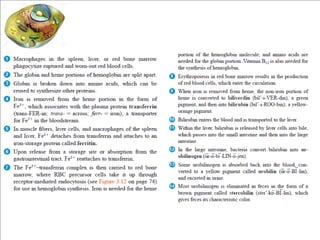 Red blood cells and blood peripheral smear | PDF