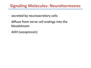 Lecture 8 regulatory mechanisms part 1 | PDF