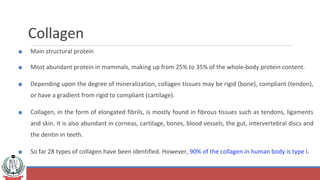 Collagen
■ Main structural protein
■ Most abundant protein in mammals, making up from 25% to 35% of the whole-body protein content.
■ Depending upon the degree of mineralization, collagen tissues may be rigid (bone), compliant (tendon),
or have a gradient from rigid to compliant (cartilage).
■ Collagen, in the form of elongated fibrils, is mostly found in fibrous tissues such as tendons, ligaments
and skin. It is also abundant in corneas, cartilage, bones, blood vessels, the gut, intervertebral discs and
the dentin in teeth.
■ So far 28 types of collagen have been identified. However, 90% of the collagen in human body is type I.
 