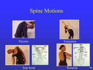 Spinal Contortion lecture 8 spine and spinal cord injuries.pdf
