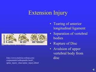 lecture 8 spine and spinal cord injuries.pdf