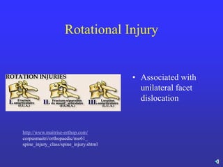 lecture 8 spine and spinal cord injuries.pdf