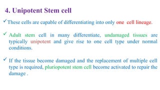 Unipotent Comprehensive Overview of Stem Cell Technology and Its Applications in ...