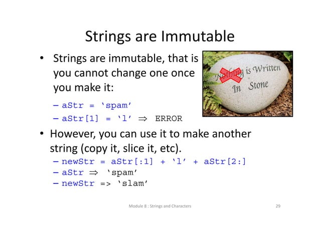 Lecture 8 strings and characters | PPT